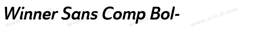 Winner Sans Comp Bol字体转换